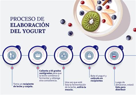 Elaboracion Del Yogurt Elaboracion Del Yogurt El Proceso Productivo