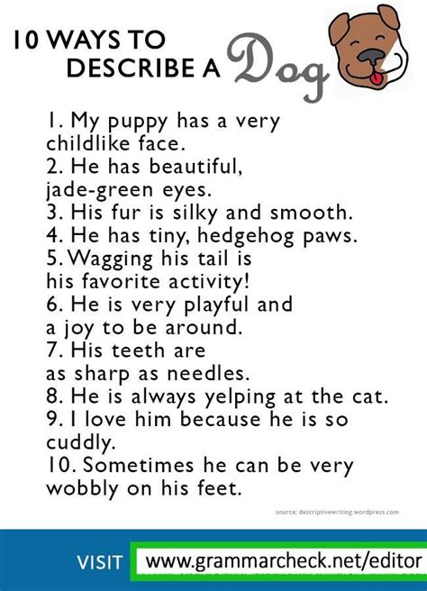 An Animal Poem With The Words10 Ways To Describe A Dog