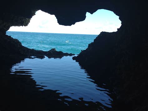 Animal Flower Cave In The North Of Barbados One Of The Most Beautiful