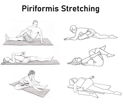 Piriformis Exercises Piriformis Stretch Sciatica Stretches Muscle