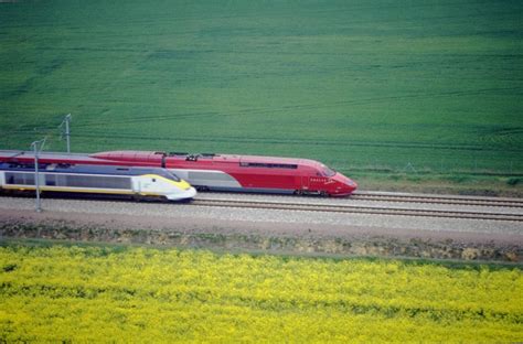 Thalys High Speed Train Interraileu