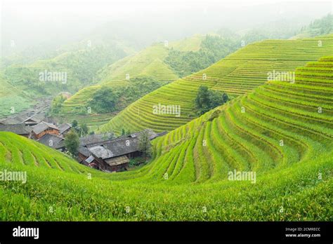 Dragon S Backbone Rice Terraces And Traditional Village Ping An Guangxi China Stock Photo Alamy