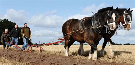 Learning To Plough Small Farmers Journalsmall Farmers Journal