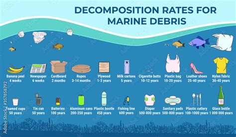 Decomposition Rates For Marine Debris How Long Does It Take To