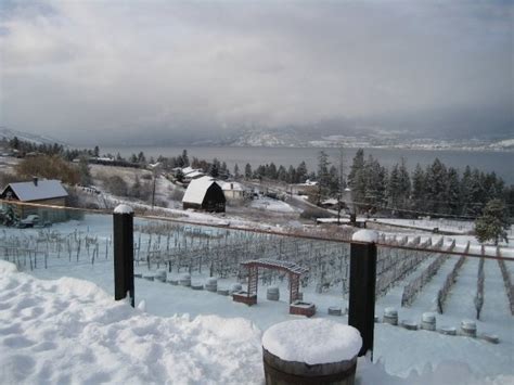 17 Best Images About Kelowna Bc Winter On Pinterest Canada Quails