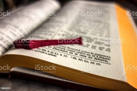 Holy Bible In Spanish Stock Photo Download Image Now Bible Spain