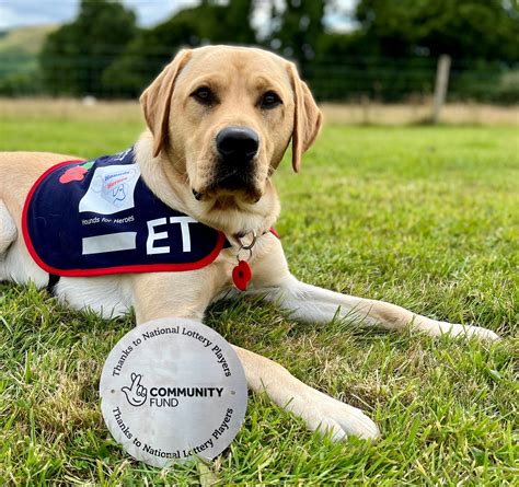 Trusts & Grants | Hounds for Heroes