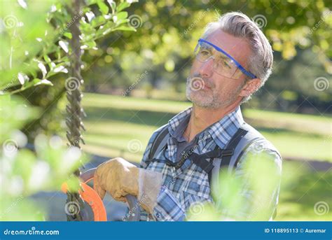 Man Using Hedge Trimmer Stock Image Image Of Trim Pruning 118895113