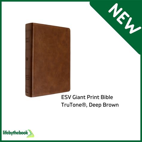 Esv Giant Print Bible Trutone Deep Brown Lazada Ph
