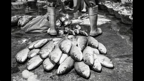 The fishing year runs from january 1 through december 31, and there are no specified management areas for the fishery; Jurong Fishery Port, SIngapore - YouTube