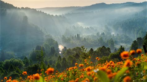 Flower Forest Mountain During Dawn Time Hd Nature