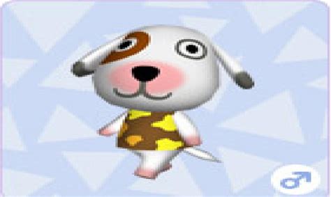 Bones Animal Crossing Wikipeada Wiki Fandom Powered By Wikia