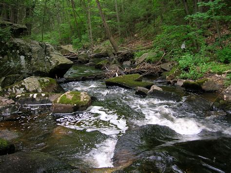 Small Stream Reflections Streams Rediscovered