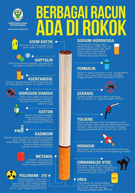 Berbagai Racun Dalam Rokok Infografis Kesehatan