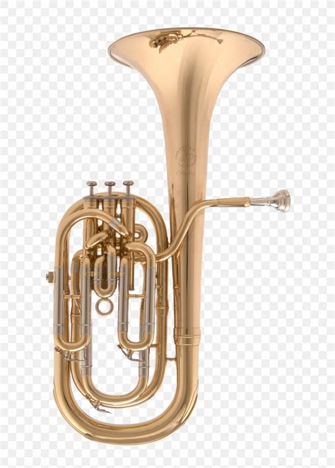 Saxhorn Tenor Horn Euphonium Flugelhorn Baritone Horn Png 858x1200px