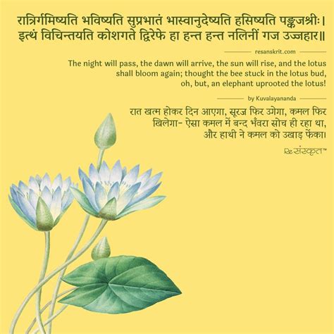 Sanskrit Shloks Sanskrit Quotes Thoughts Slokas With Meaning In Riset