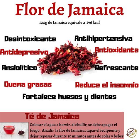Beneficios Flor De Jamaica Food Red Peppercorn Peppercorn