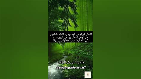 Top Hazrat Ali Quotes Quotes Of Hazrat Ali Ke Kol Hazrat Ali Saying