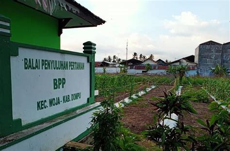 Balai Penyuluhan Pertanian Bpp Pacet Setruktur Organisasi Riset