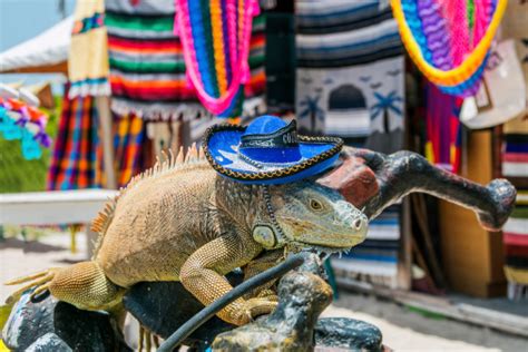 Iguana Con Un Sombrero Mexicana Foto De Stock Y Más Banco De Imágenes
