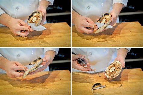 Portobello mushrooms are celebrated by culinary aficionados all over the world for their simplicity and depth of flavor. CKS 013| How To Clean And Slice A Portobello Mushroom ...