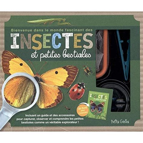 Insectes Et Petites Bestioles Coffret Bienvenue Dans Le Monde