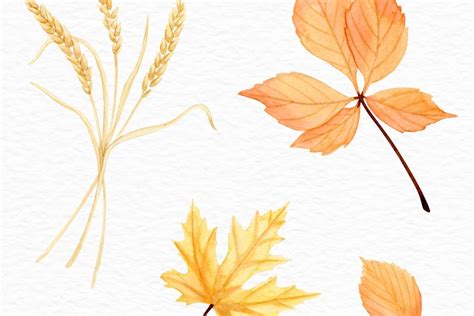 Autumnal Watercolour Workshop Workshop At Harewood House In Leeds