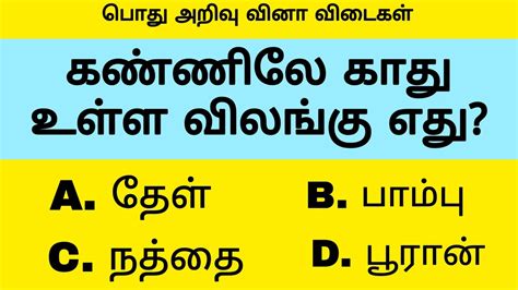 General Knowledge Question Answer Tamil Episode 4 Tamil Job