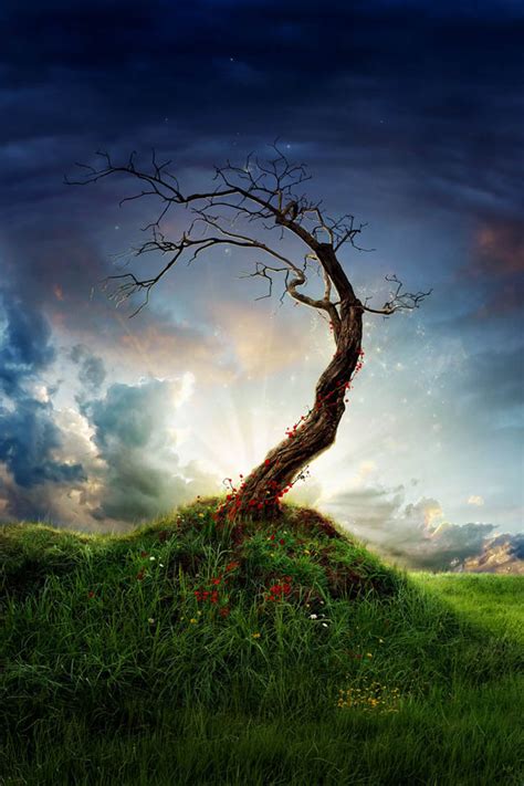 30 Beautiful Tree Photo Manipulations Web And Graphic