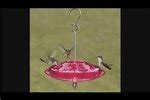 As we've stated in this recipe, no. Ratio of Sugar to Water When Making Humming Bird Food | eHow