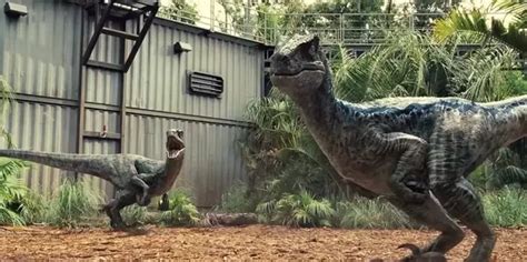 Which Raptors Are The Smartest In The Jurassic Park Franchise Quora