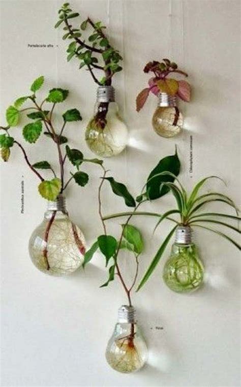 26 Mini Indoor Garden Ideas To Green Your Home Amazing