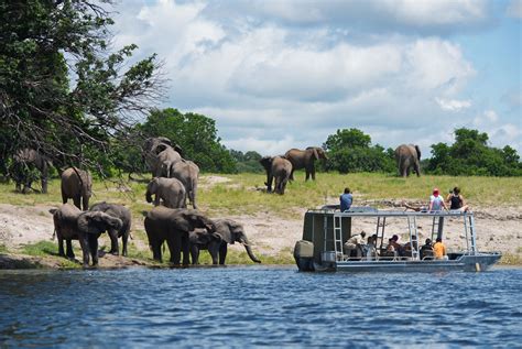 Zambezi Queen Luxurious River Safari In Chobe National Park