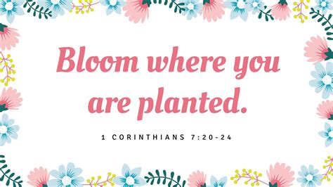Bloom Where You Re Planted Quote Bloom Where You Are Planted