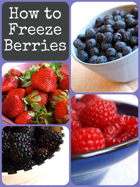 How To Freeze Berries Delishably