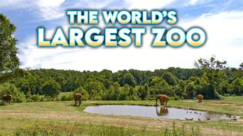 Welcome To The Worlds Largest Zoo Youtube