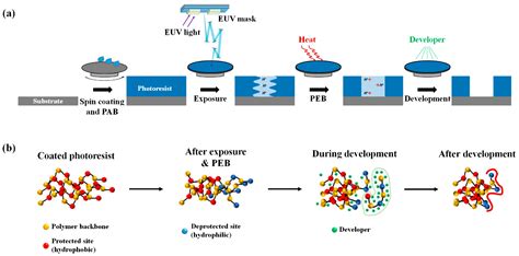 Since the resolution capability of lithography can be extended by using shortwavelength light, at least in principle, a number of concepts involving light with wavelengths much shorter than 193 nm have been. Polymers | Free Full-Text | Molecular Modeling of EUV ...