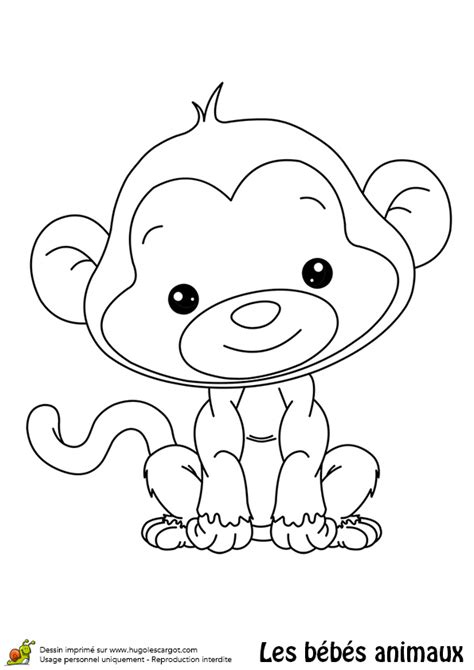 Coloriages Animaux Animal Coloring Pages Easy Drawings Coloring Books