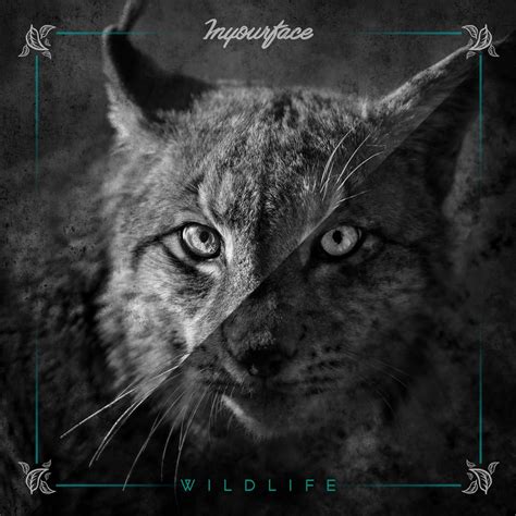 Wildlife Album Inyourface