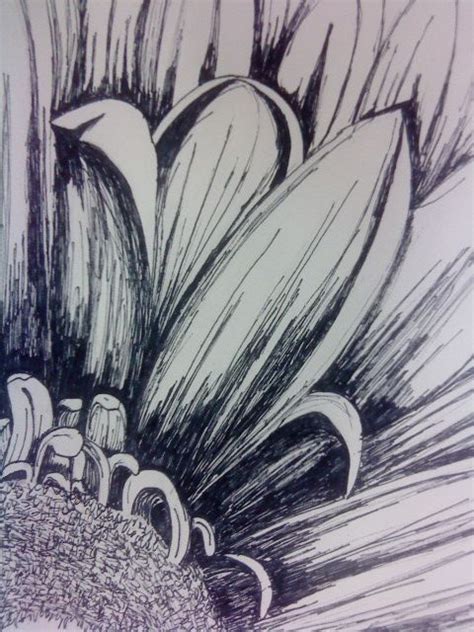 Practice drawing animals, people, flowers, landscapes, cartoons and caricatures and your favorite comic book characters, then wow everyone with your skills. Fine liner flowers again. Lots of detail PRIMARY ...