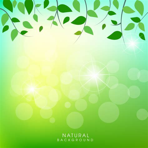 Natural Background With Green Leaves Background 676826 Download Free
