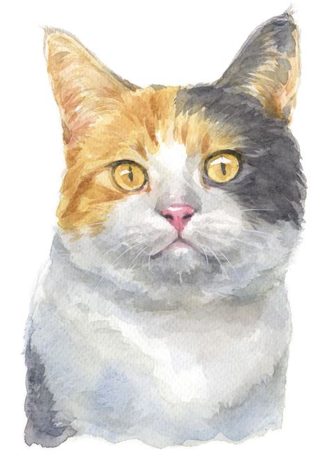 Watercolour Calico Cat Breed Panel
