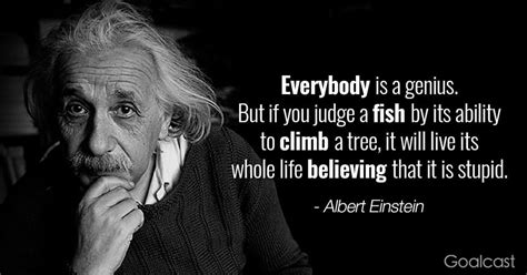 Words Of Wisdom Albert Einstein • Enchanted Little World