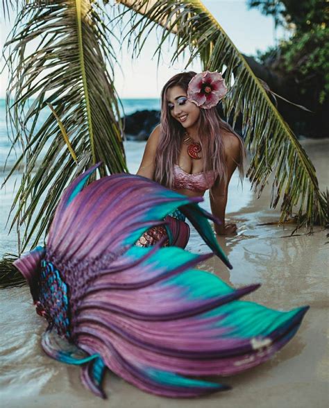 Pin By Michele Ann On Tropical Vibes Mermaid Photos Mermaid Photo