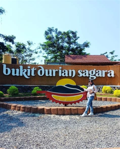 Panen Sendiri Durianmu Di Bukit Durian Sagara Sukabumi