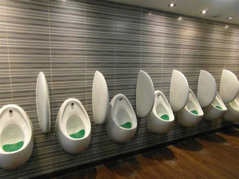 urinal control system and urinal flushing control