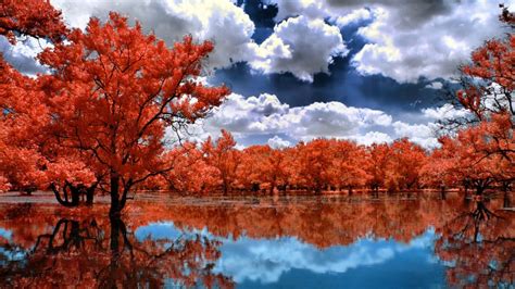 Red Lake Trees Beautiful Nature Nature Photography Reflection