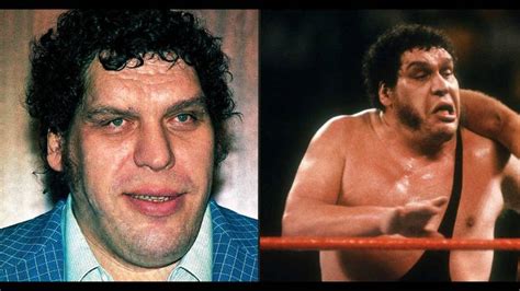 Andre The Giant Left Passengers ‘unable To Breathe Gagging And Crying