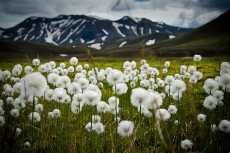 Best Time To See Landmannalaugar In Iceland 2020 When And Where To See