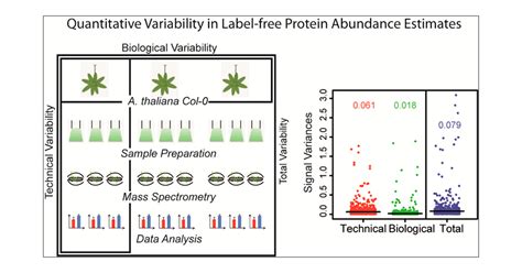 Assessment Of Label Free Quantification In Discovery Proteomics And